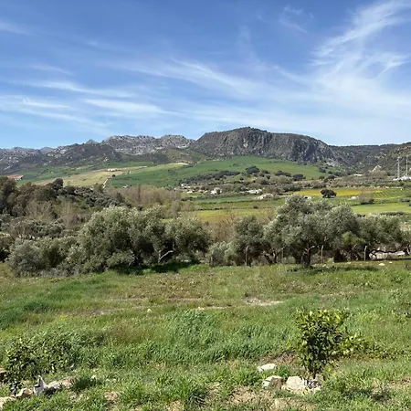 Catalina روندا