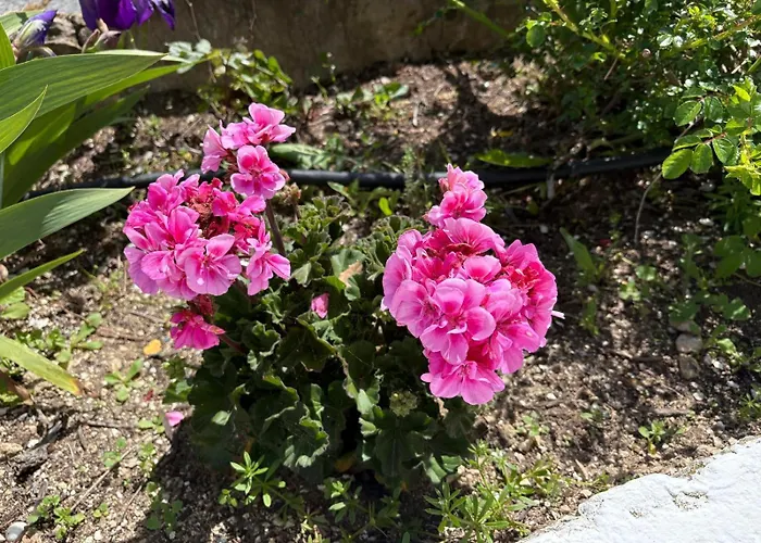 Casa vacanze Catalina *